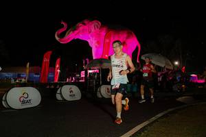 BIB: 
                            <button type="button" onclick="openModal(26535187)" class="btn btn-primary btn-sm float-right btn-popup" data-toggle="modal" data-target=".modal-high-quality">
                        <i class="fas fa-shopping-cart"></i> Add to Cart
                    </button>
                                            <button type="button" onclick="isThisMe(26535187, true)" class="btn btn-success btn-sm float-right btn-popup btn-isme hidden" data-toggle="tooltip" data-placement="bottom" title="นี่คือรูปของคุณใช่ไหม คลิกที่นี่เพื่อเอาเข้าอัลบั้ม">
                        <i class="fas fa-plus"></i> Add to album
                    </button>
                    <button type="button" onclick="isThisMe(26535187, false)" class="btn btn-warning btn-sm float-right btn-popup btn-isnotme hidden">
                        <i class="fas fa-ban"></i> Remove from album
                    </button>